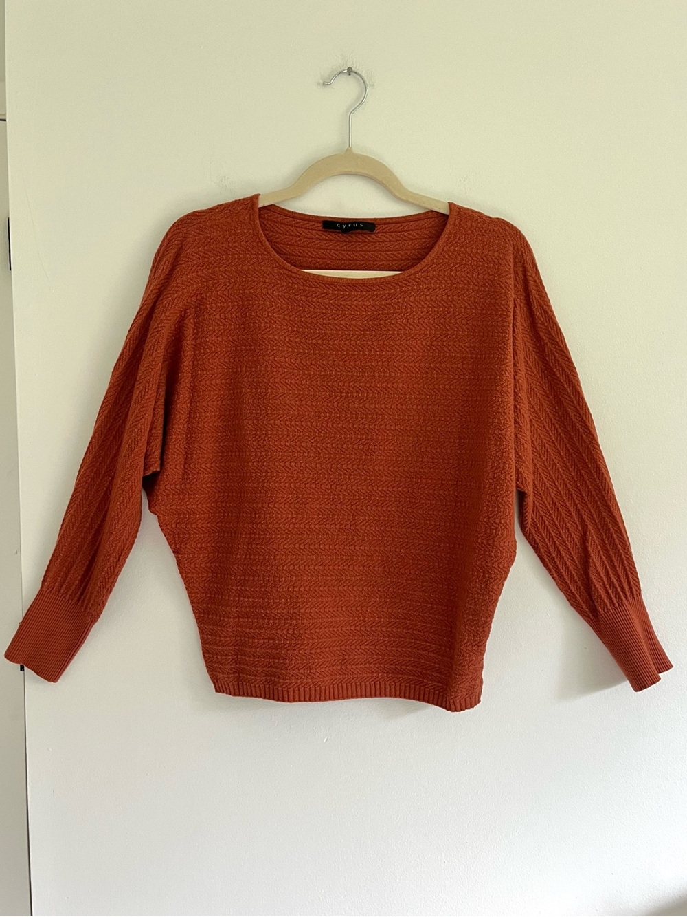 Cyrus Rust Orange Dolman Sleeve Fall Autumn Sweater Earthy Casual Bohemian M